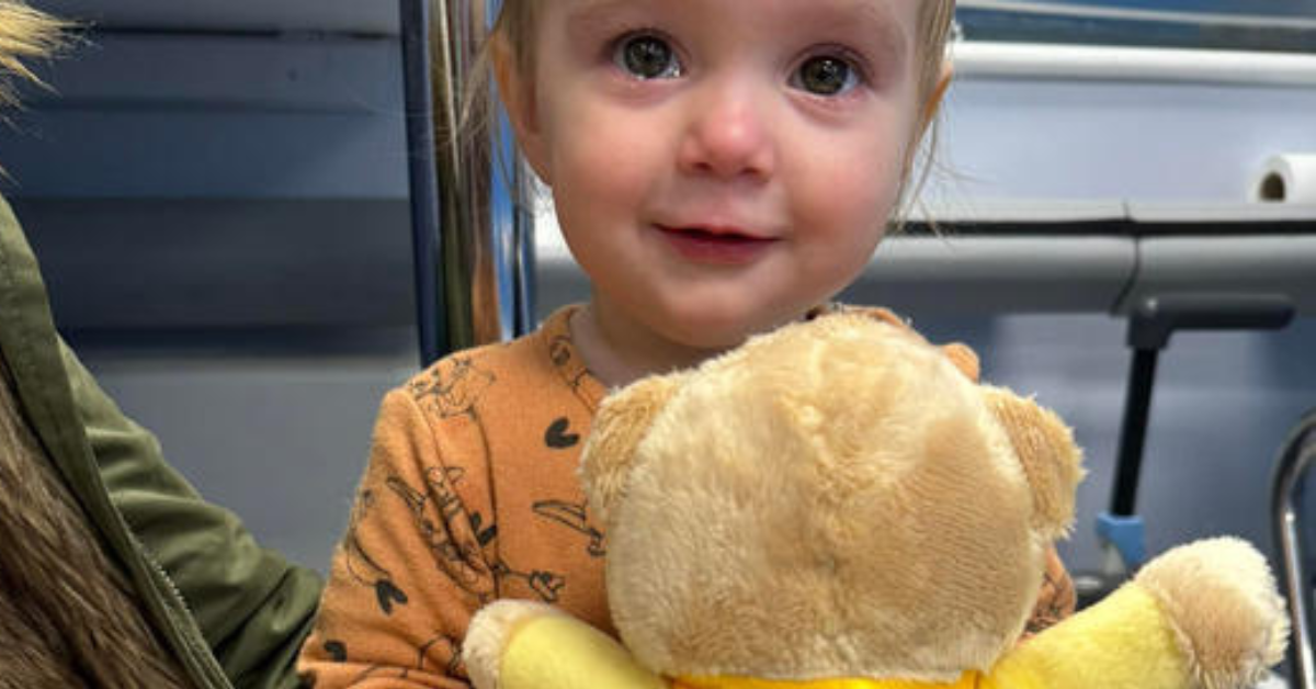 Spreading Comfort: The Impact of TLC Bears in Hospitals